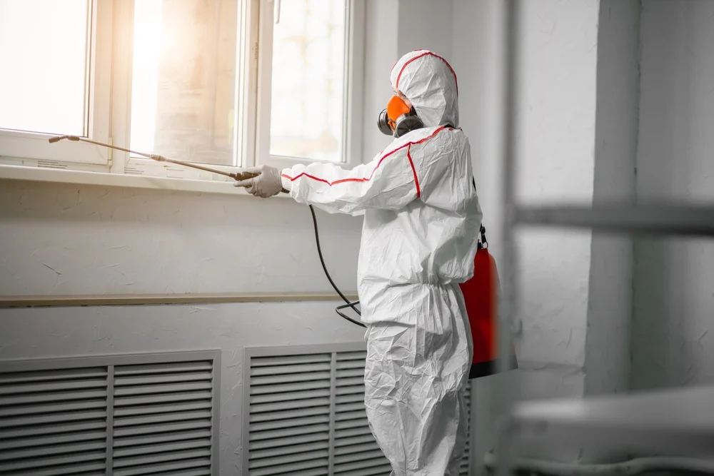 Professional mold remediation services in Duncan Falls, OH